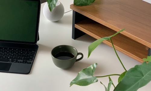 image of a desk area showing nature
